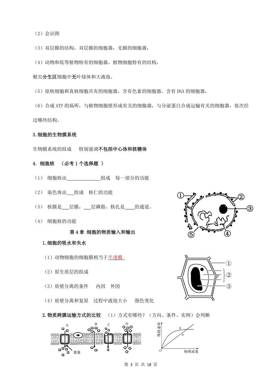 人教版（2019）高二生物学业水平合格性考试必背知识点考点提纲_第3页