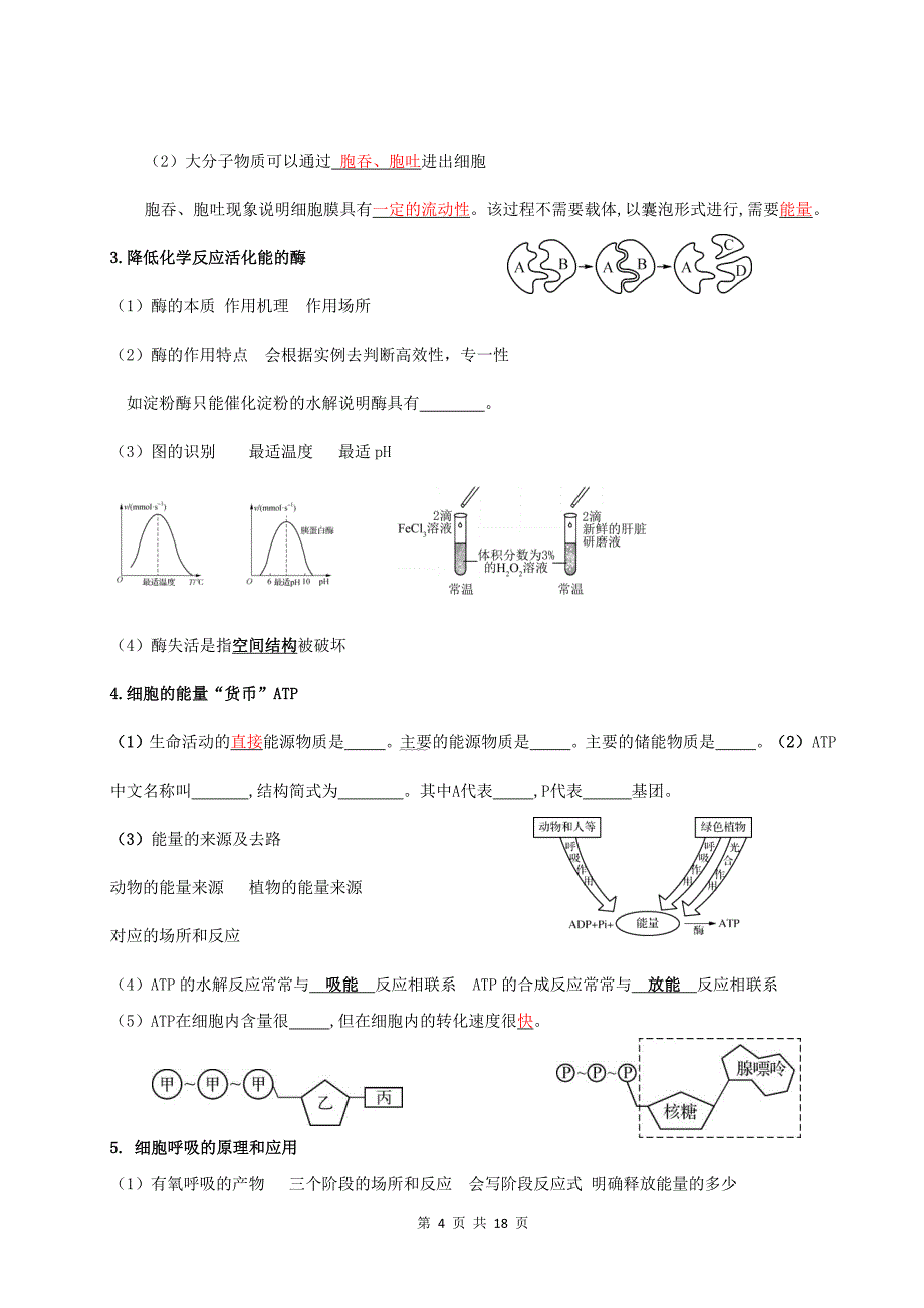 人教版（2019）高二生物学业水平合格性考试必背知识点考点提纲_第4页