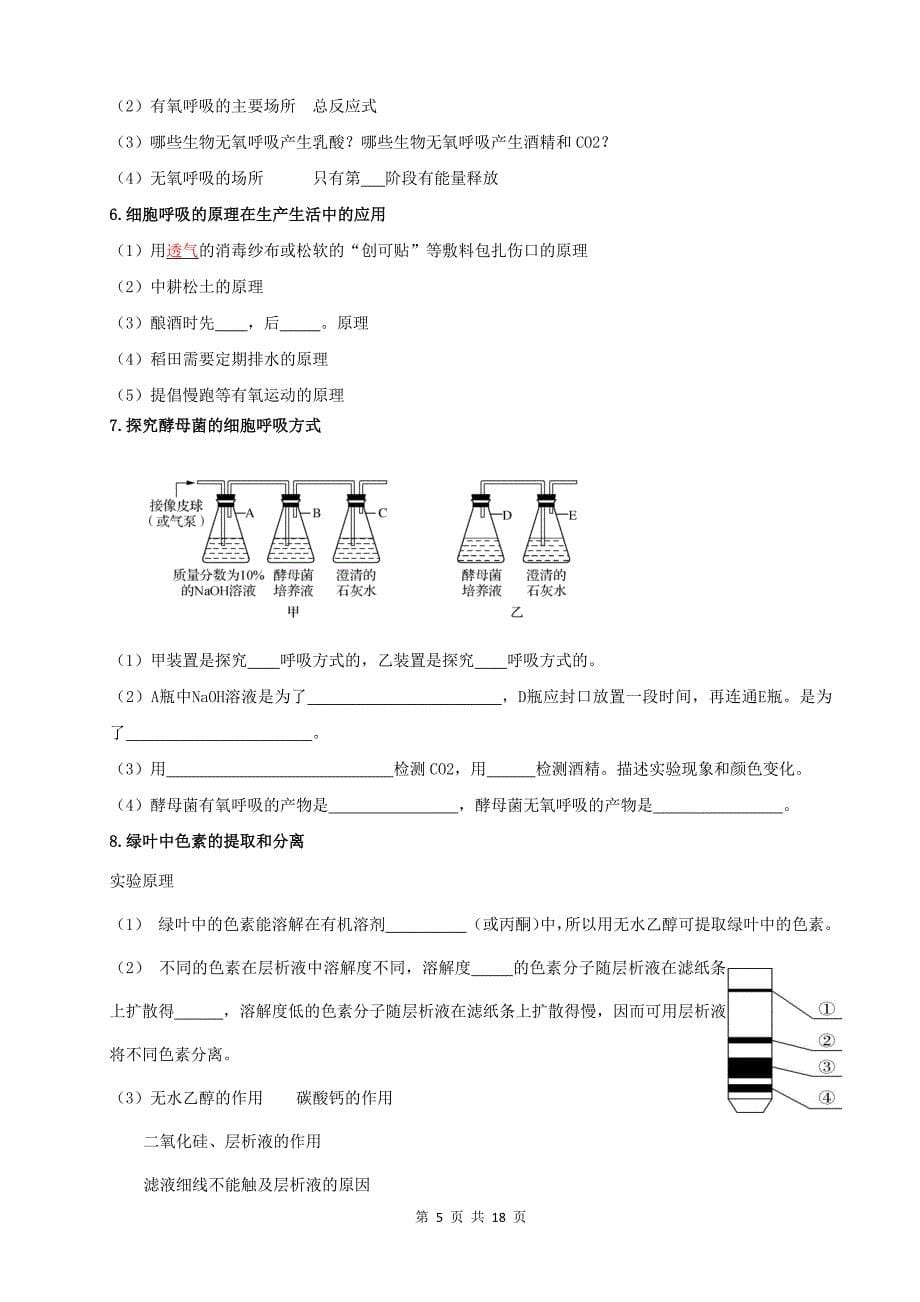 人教版（2019）高二生物学业水平合格性考试必背知识点考点提纲_第5页