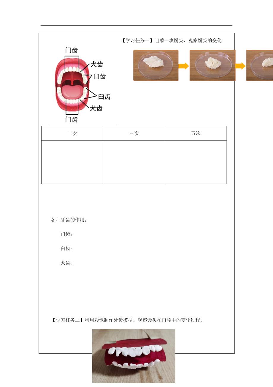 2024年小学四上教案【科学(教科版)】食物在口腔里的变化-3学习任务单_第2页