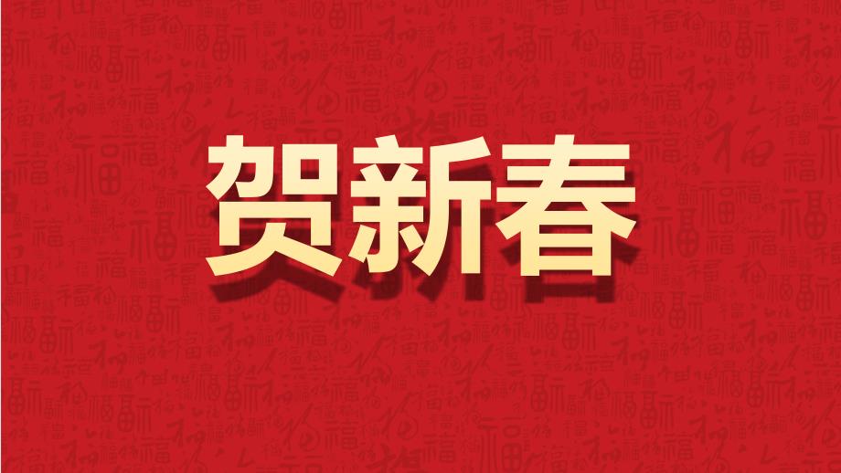 2025新年祝福快闪美金蛇贺岁元旦晚会模板_第3页