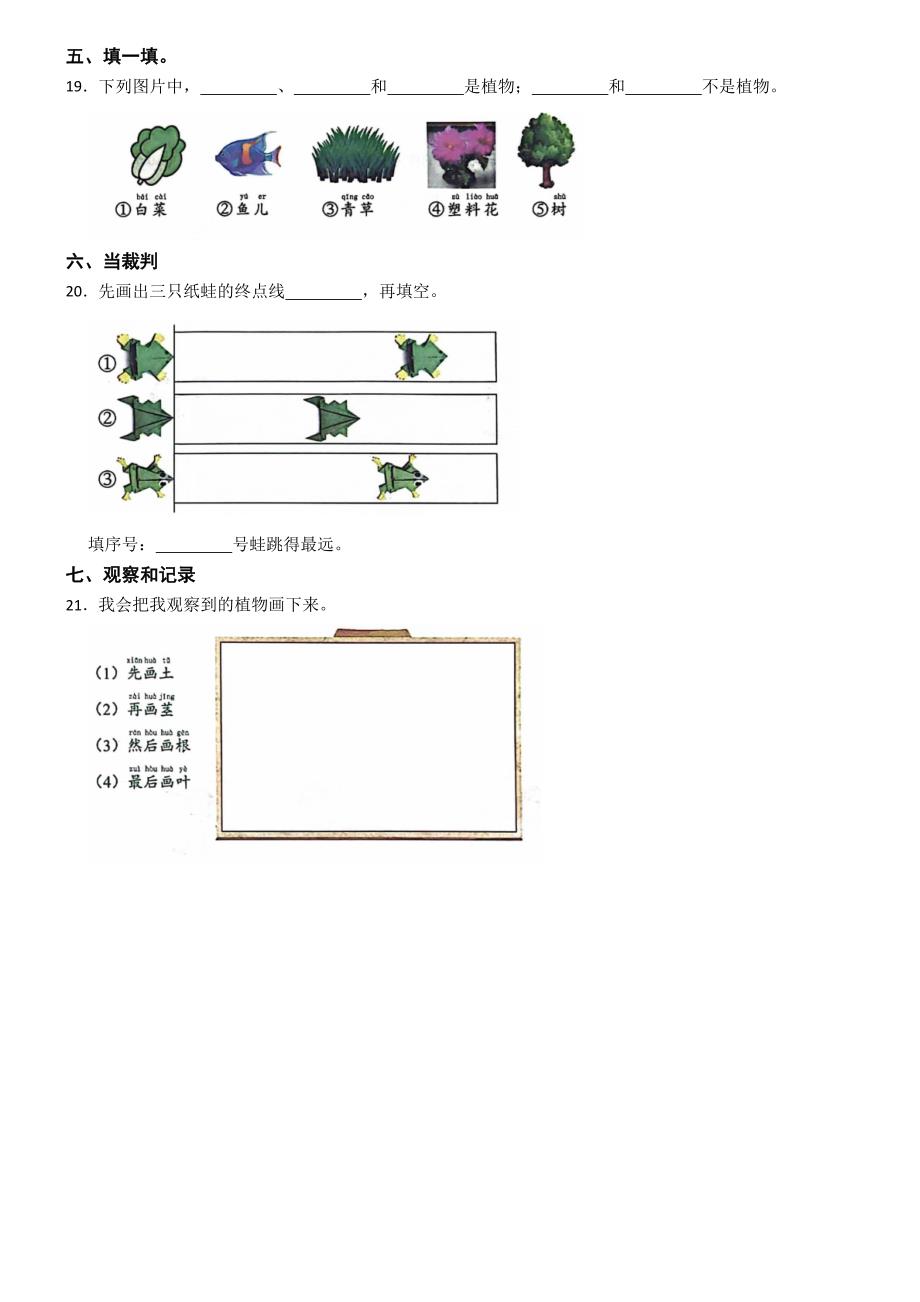 广东省深圳市宝安区2023-2024学年一年级上学期期末考试科学试卷_第3页