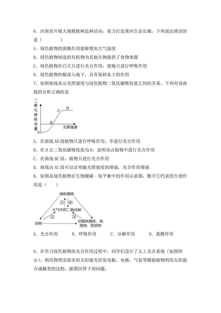 北师大版（2024）七年级生物上册第三单元第四章第六节《植物在生物圈中的作用》优质练习_第5页