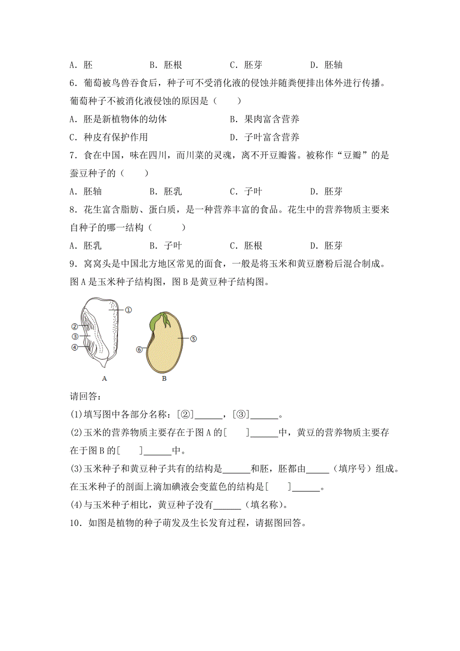 北师大版（2024）七年级生物上册第三单元第五章第一节《种子萌发形成幼苗》优质练习_第2页