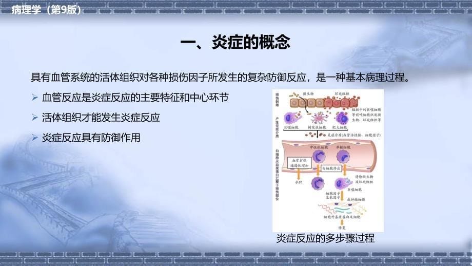 病理学（第9版）十三五教材第四章 炎症_第5页