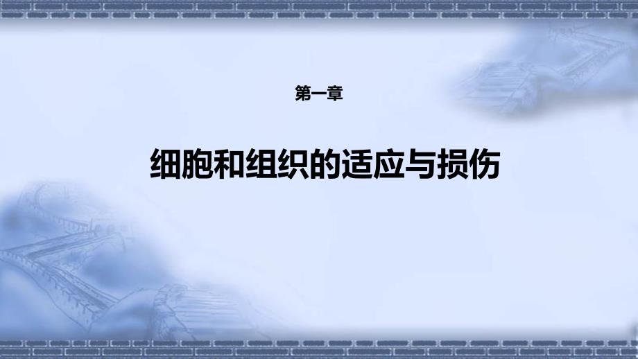 病理学（第9版）十三五教材第一章 细胞和组织的适应与损伤_第1页