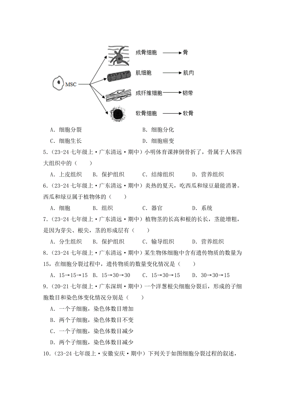 人教版（2024新版）七年级生物上册第一单元《03 从细胞到生物体》真题汇编（含答案）_第2页