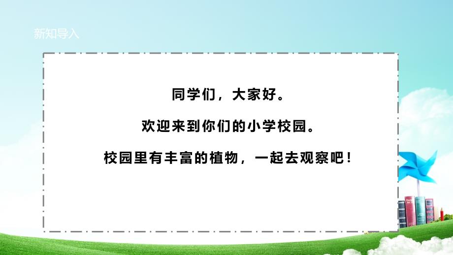 二年级上册浙科版综合实践第三课校园自然笔记—我的植物笔记_第4页