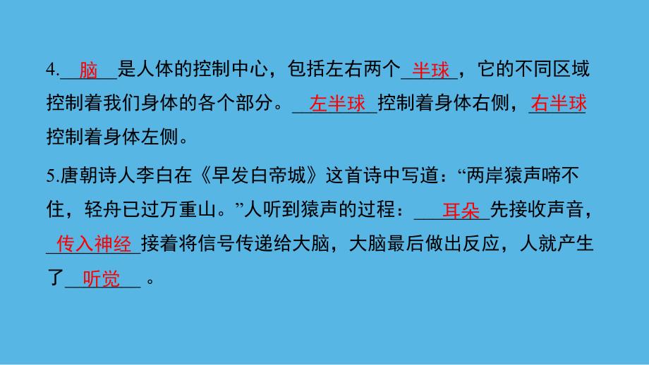 教科版小学五年级科学上册《第四单元学习达标测试》作业课件_第3页