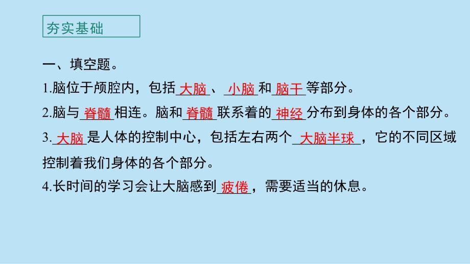 教科版小学五年级科学上册第四单元第4课《身体的“总指挥”》作业课件_第3页