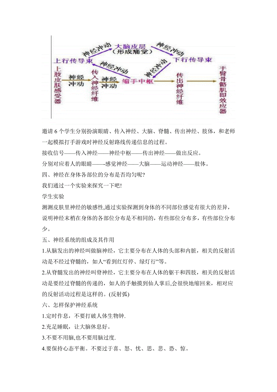 教科版小学五年级科学上册第四单元第5课《身体的“联络员”》参考教案_第3页