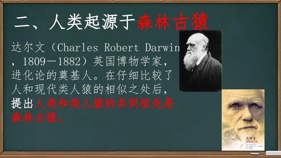 【生物】人的起源和发展课件2023-2024学年人教版生物七年级下册_第5页