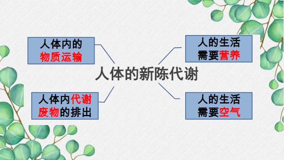 【生物】人体的代谢专题复习课件-2023--2024学年人教版生物七年级下册_第1页