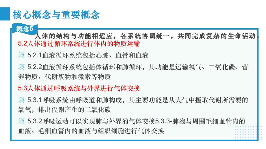 【生物】人体的代谢专题复习课件-2023--2024学年人教版生物七年级下册_第3页