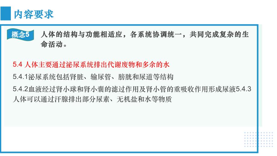 【生物】人体的代谢专题复习课件-2023--2024学年人教版生物七年级下册_第4页