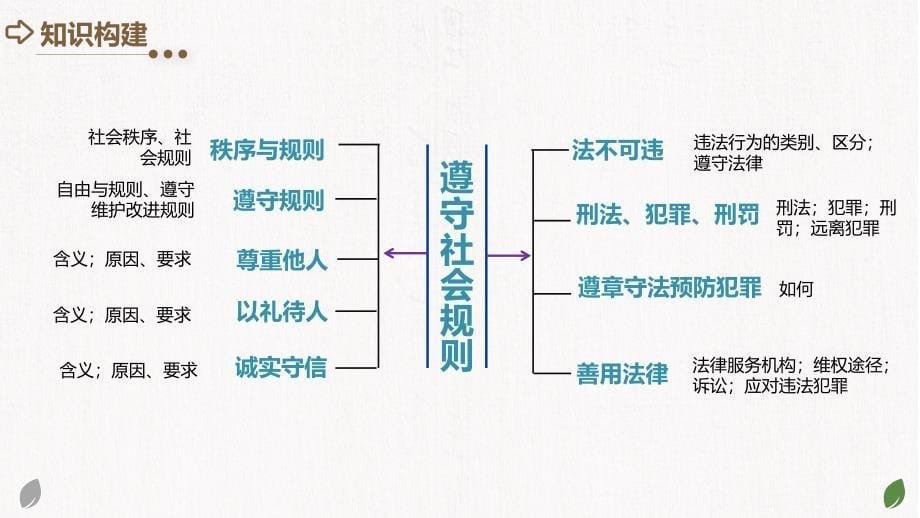 2025年中考道德与法治一轮复习考点讲练测课件专题09 遵守社会规则（含答案）_第5页