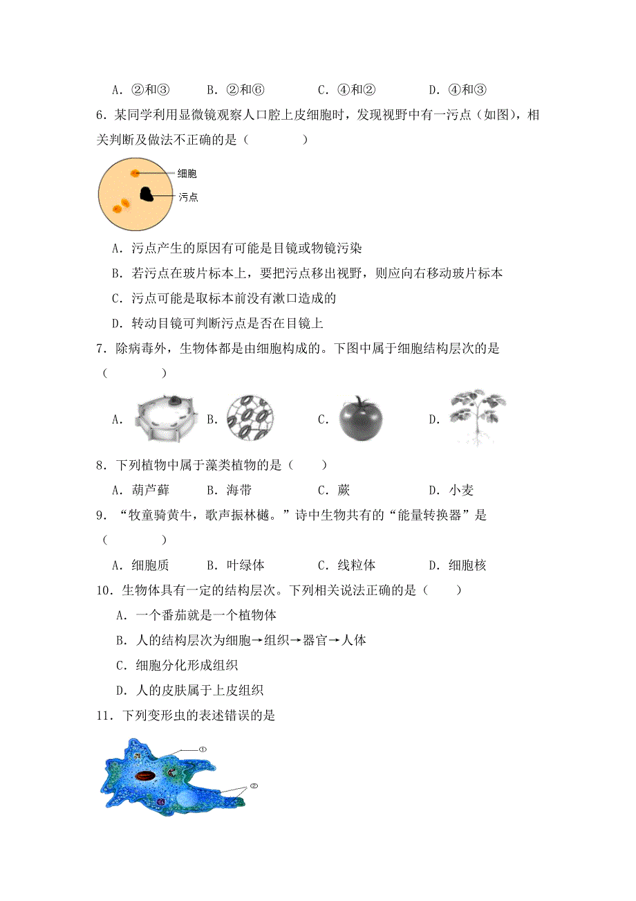 人教版（2024新版）七年级生物上册期中复习《高频选择题50道》真题汇编（含答案）_第2页