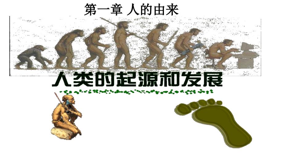 【生物】人体的由来复习课件-2023--2024学年人教版生物七年级下册_第1页