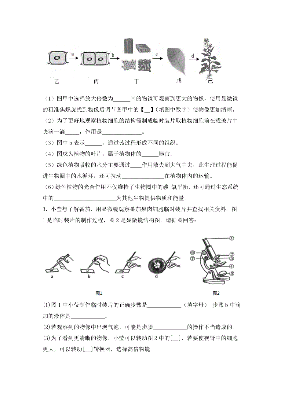 人教版（2024新版）七年级生物上册期中复习《高频综合大题30道》真题汇编（含答案）_第2页