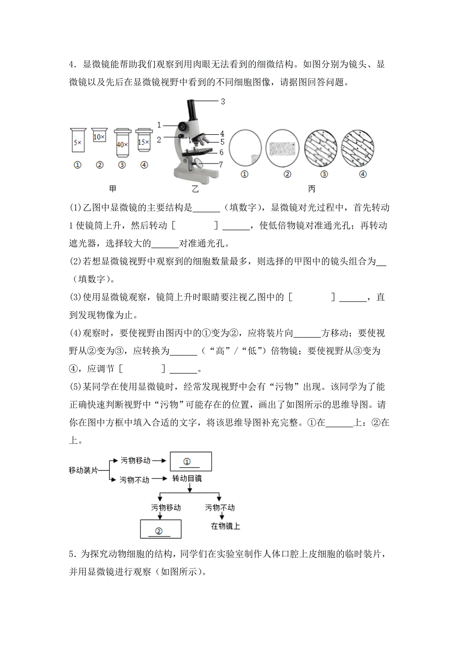 人教版（2024新版）七年级生物上册期中复习《高频综合大题30道》真题汇编（含答案）_第3页