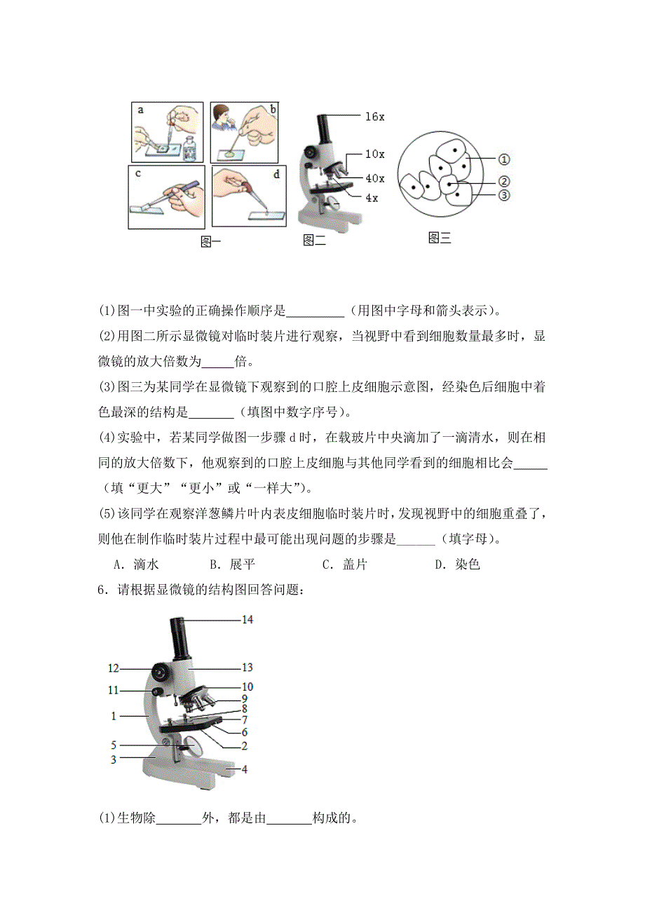 人教版（2024新版）七年级生物上册期中复习《高频综合大题30道》真题汇编（含答案）_第4页