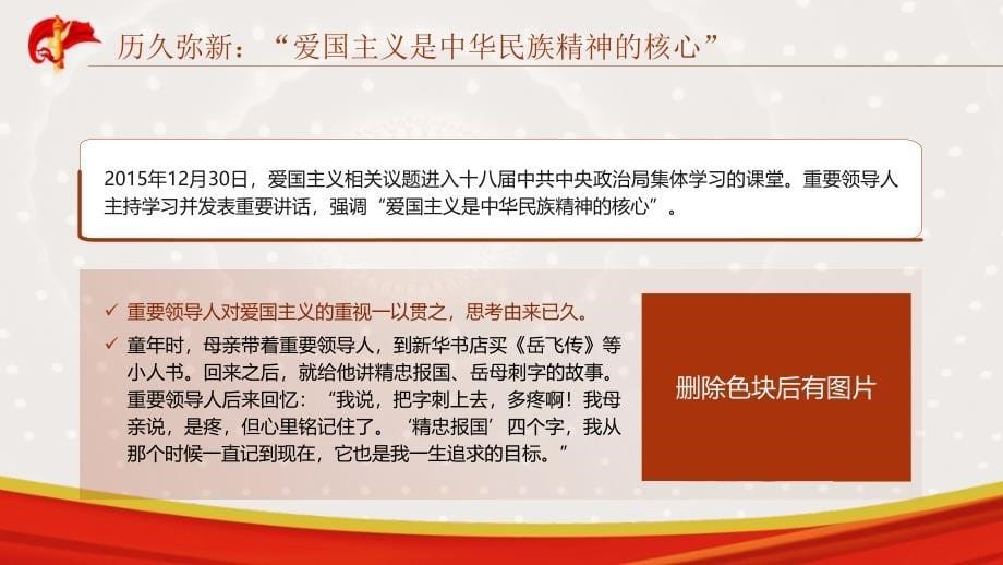 爱国主义专题党课PPT课件含讲稿_第5页