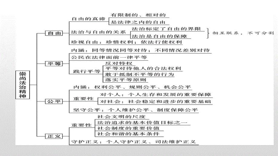 2025年中考道德与法治一轮复习考点精讲课件专题08 崇尚法治精神（含答案）_第5页