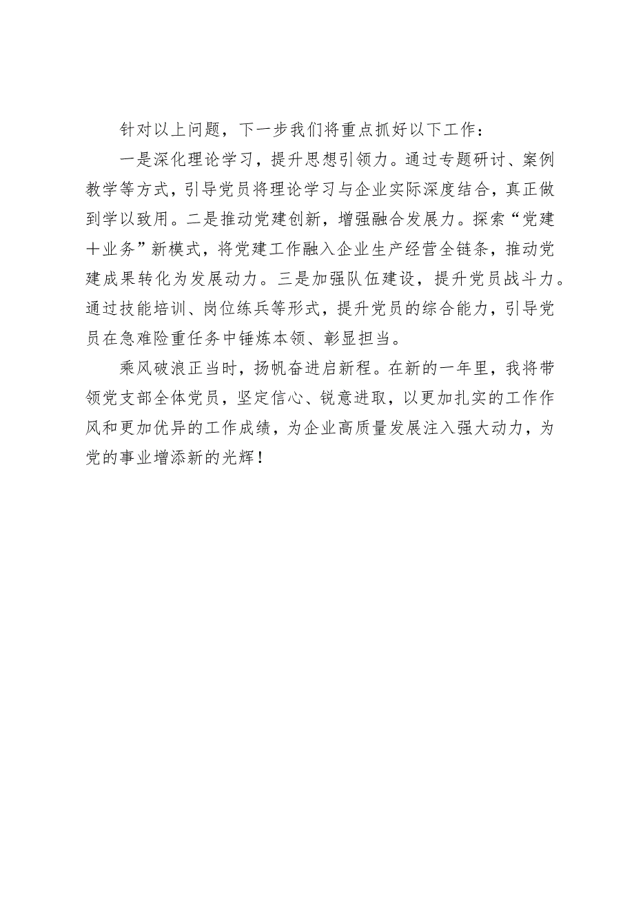 企业2024-2025党支部书记述职报告_第4页