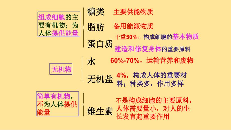 【生物】人体的营养复习课件-2023--2024学年人教版生物七年级下册_第3页