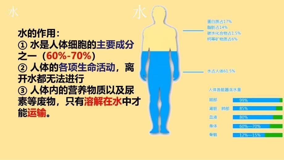 【生物】人体的营养复习课件-2023--2024学年人教版生物七年级下册_第5页