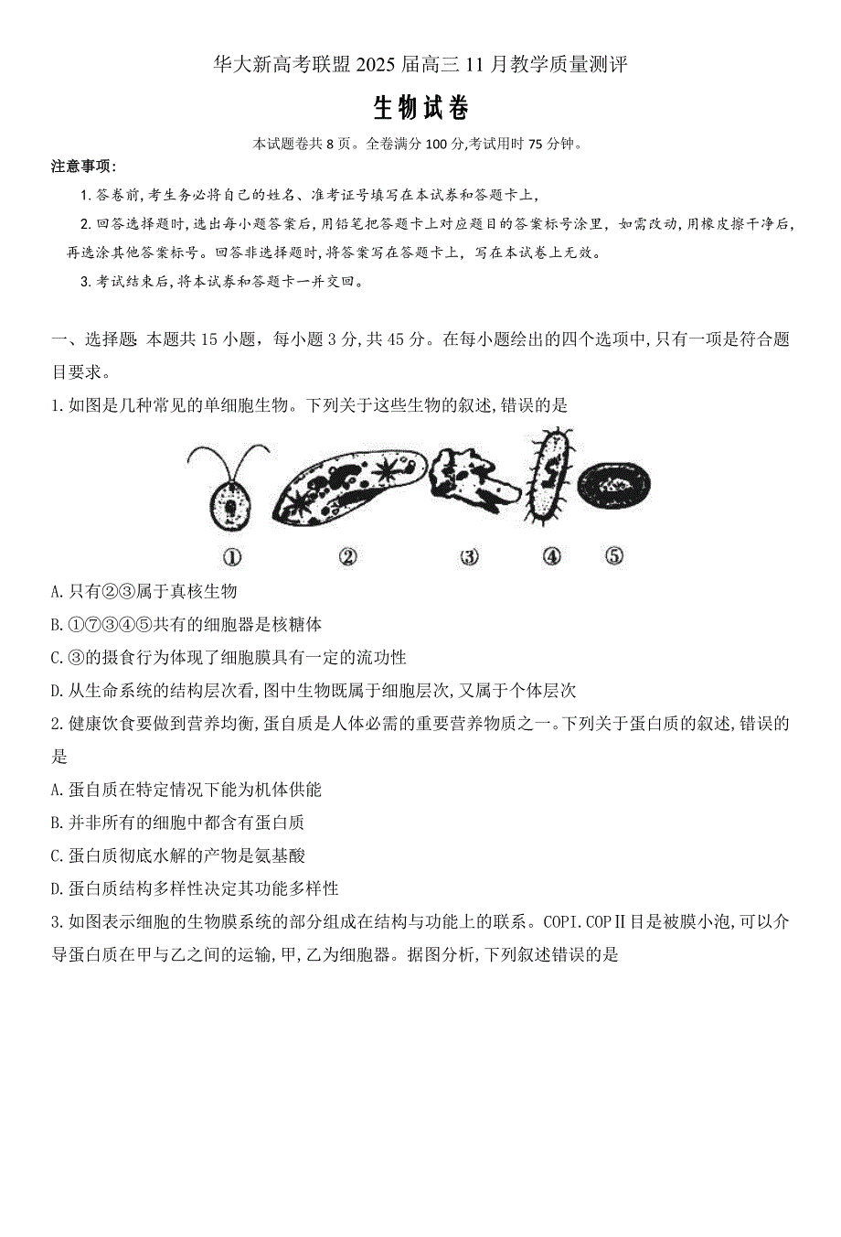 湖北省华大新高考联盟2025届高三上学期11月期中联考 生物 Word版含解析_第1页