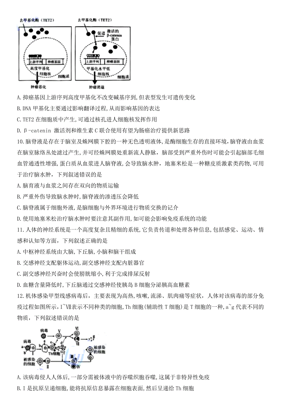 湖北省华大新高考联盟2025届高三上学期11月期中联考 生物 Word版含解析_第4页