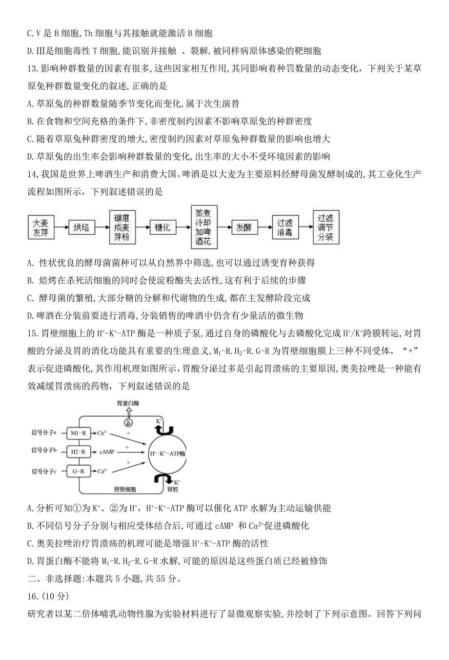 湖北省华大新高考联盟2025届高三上学期11月期中联考 生物 Word版含解析_第5页