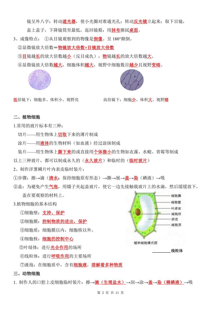 人教版（2024新版）七年级上册生物期末复习知识点考点提纲_第2页