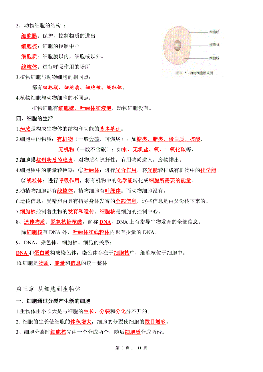 人教版（2024新版）七年级上册生物期末复习知识点考点提纲_第3页