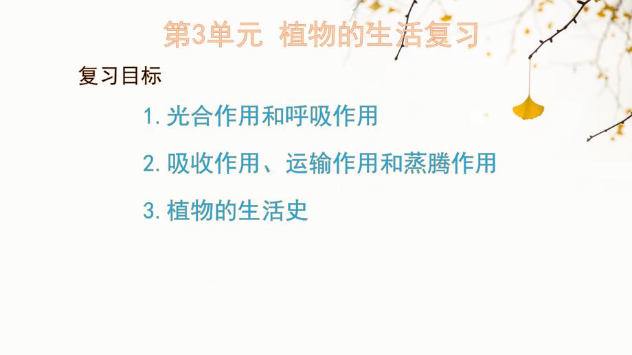 【生物】植物的生活复习课件 2024-2025学年七年级生物上册（北师大版2024）_第1页