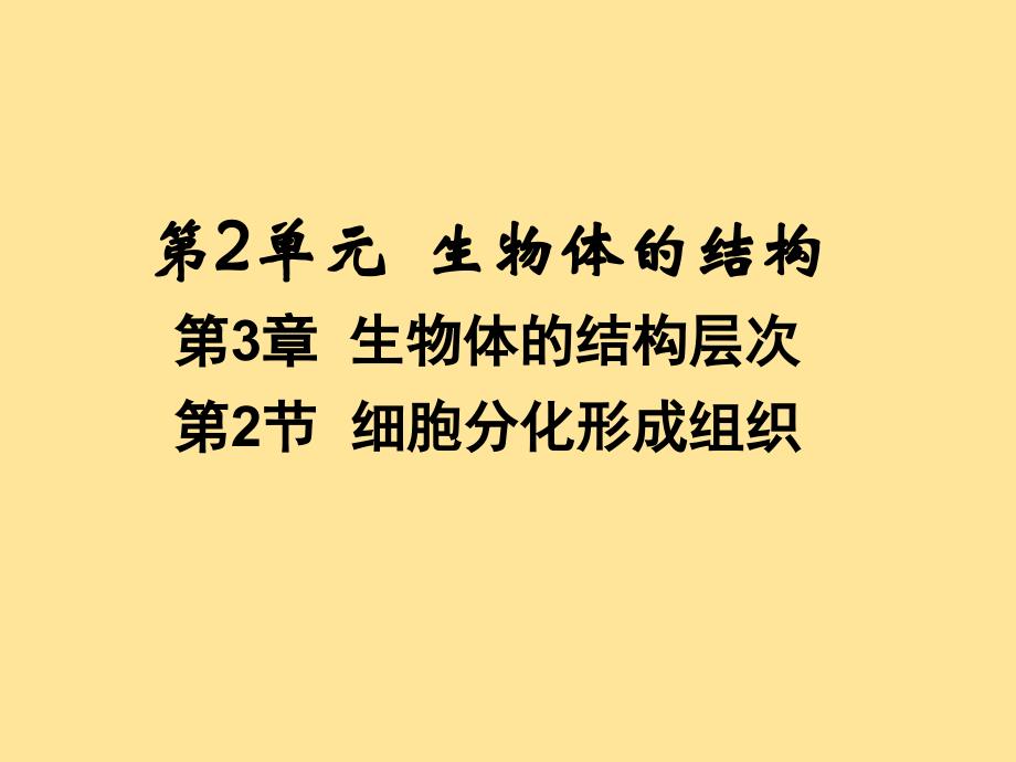 【生物】细胞分化形成组织课件-2024-2025学年北师大版生物七年级上册_第1页