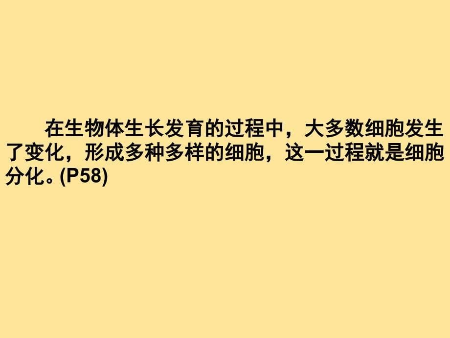 【生物】细胞分化形成组织课件-2024-2025学年北师大版生物七年级上册_第5页