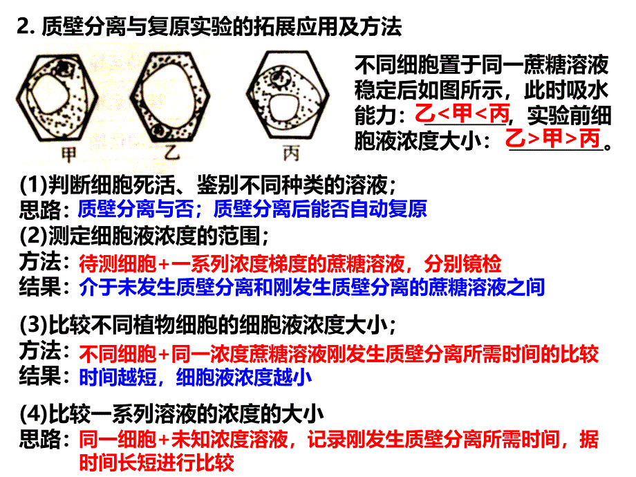 高中课件 细胞的物质输入和输出_第4页