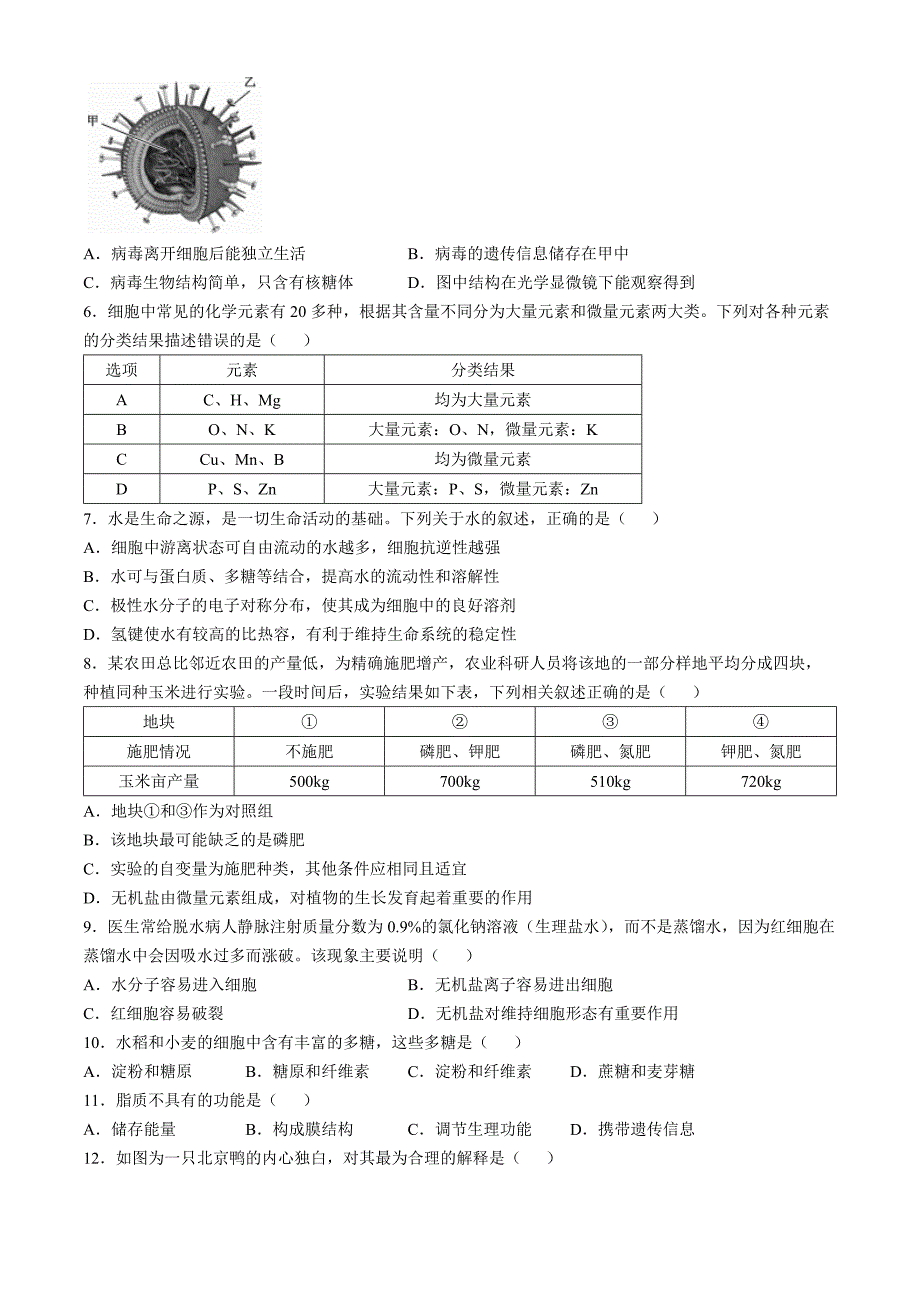 安徽省亳州市涡阳县2024-2025学年高一上学期11月期中（第二次月考）生物 Word版含解析_第2页