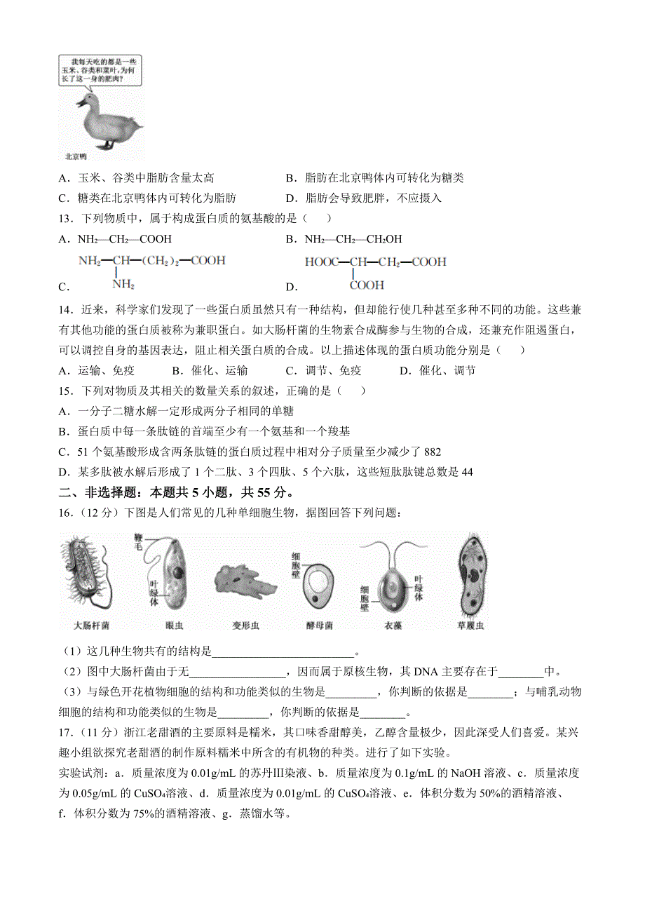 安徽省亳州市涡阳县2024-2025学年高一上学期11月期中（第二次月考）生物 Word版含解析_第3页