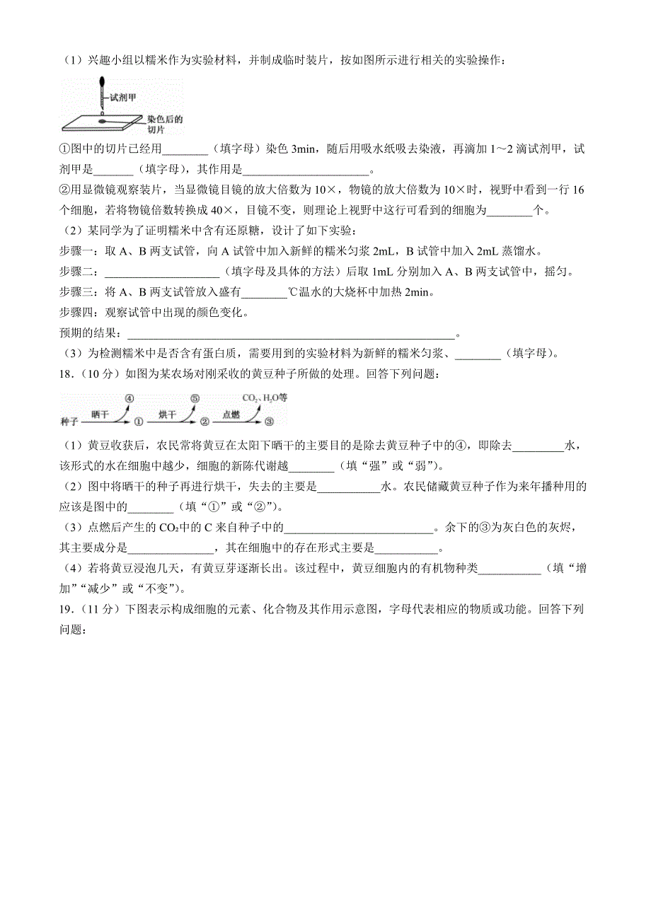 安徽省亳州市涡阳县2024-2025学年高一上学期11月期中（第二次月考）生物 Word版含解析_第4页