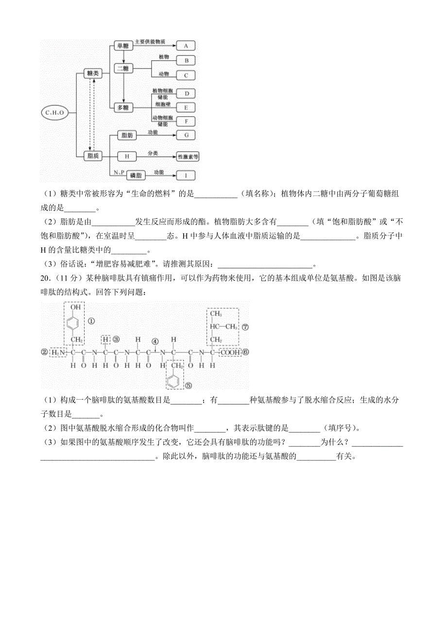 安徽省亳州市涡阳县2024-2025学年高一上学期11月期中（第二次月考）生物 Word版含解析_第5页