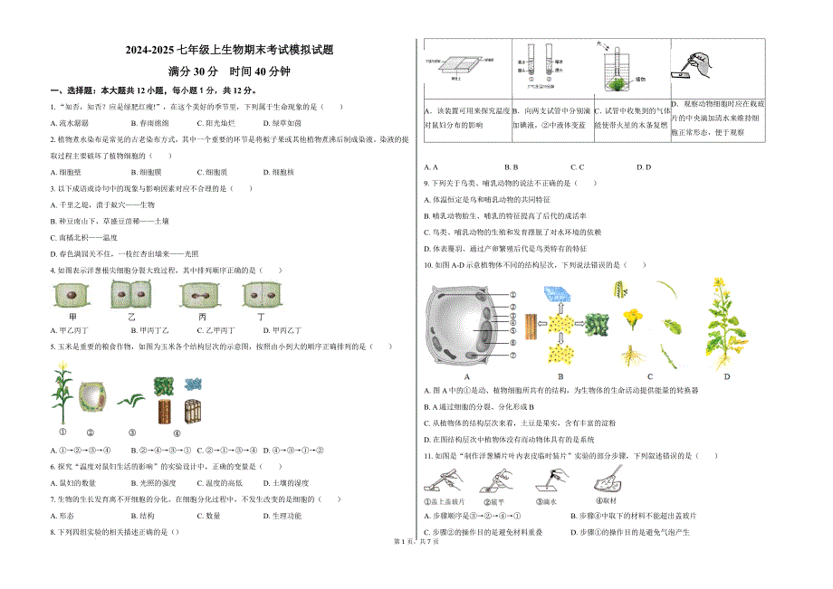 【生物】2024-2025学年苏教版生物七年级上册期末考试模拟试题_第1页