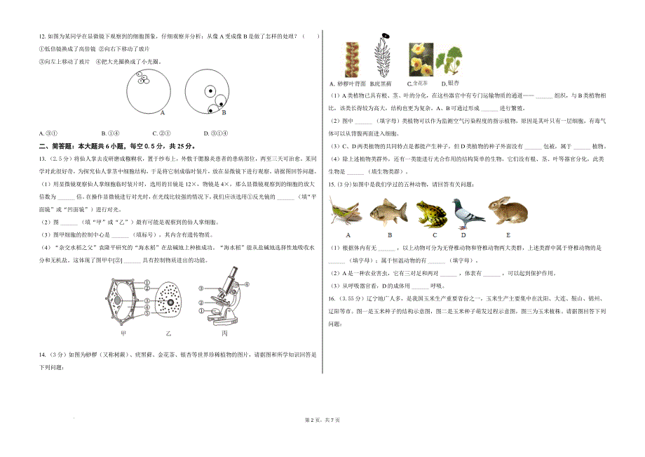 【生物】2024-2025学年苏教版生物七年级上册期末考试模拟试题_第2页