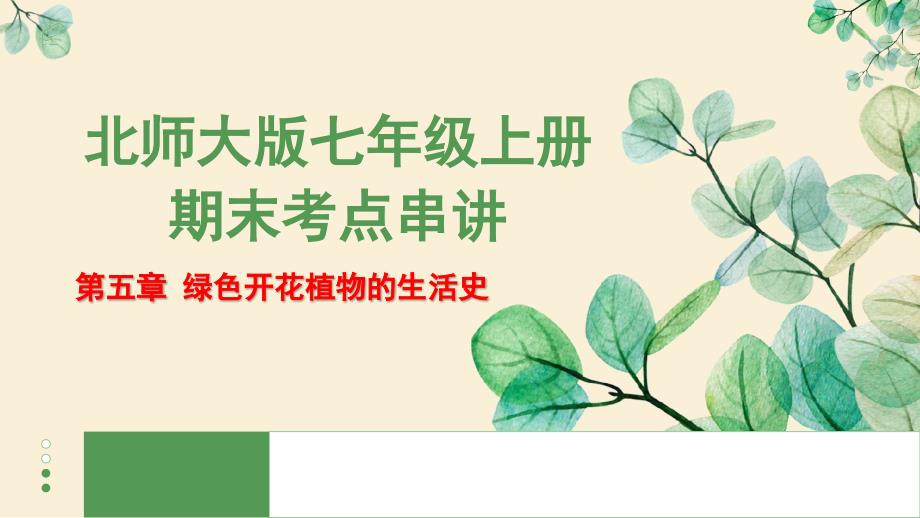 【生物】绿色开花植物的生活史复习课件 2024-2025学年七年级生物上学期期末考点（北师大版2024）_第1页