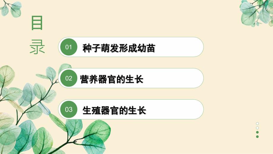 【生物】绿色开花植物的生活史复习课件 2024-2025学年七年级生物上学期期末考点（北师大版2024）_第2页