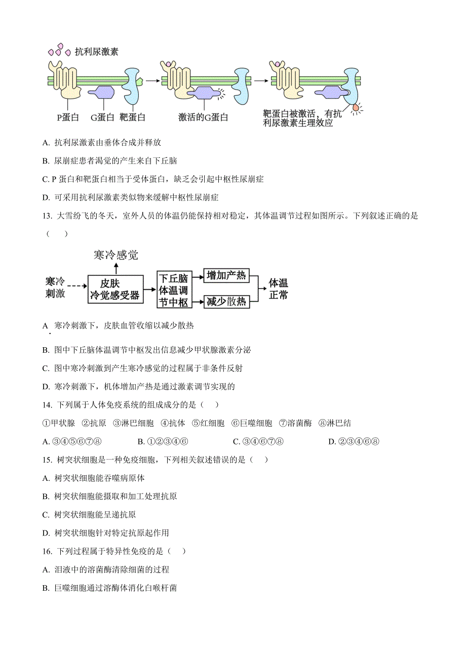 贵州省黔东南苗族侗族自治州2024-2025学年高二上学期11月期中考试生物 Word版无答案_第4页