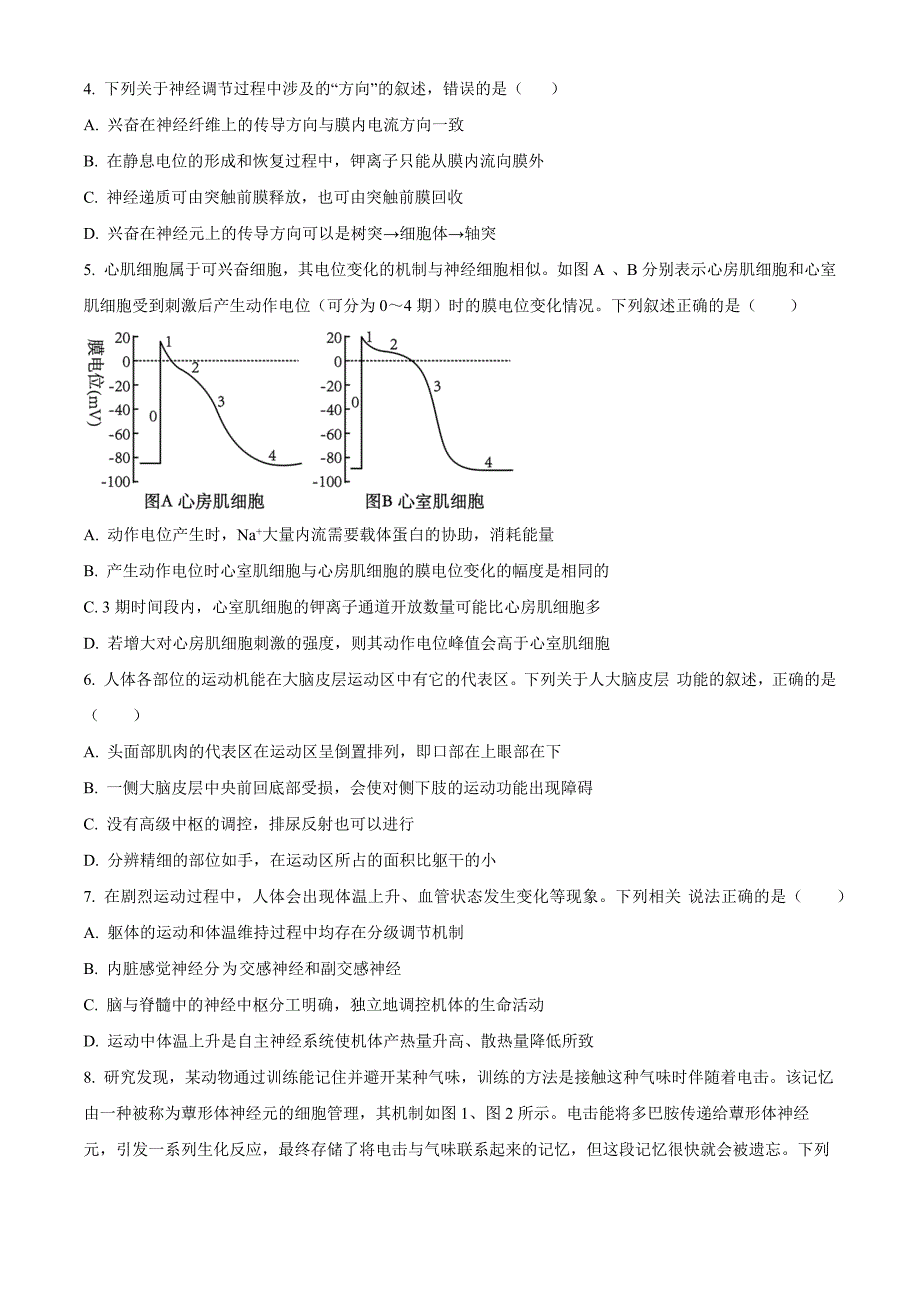 河南省郑州市十校联考2024-2025学年高二上学期11月期中生物Word版无答案_第2页