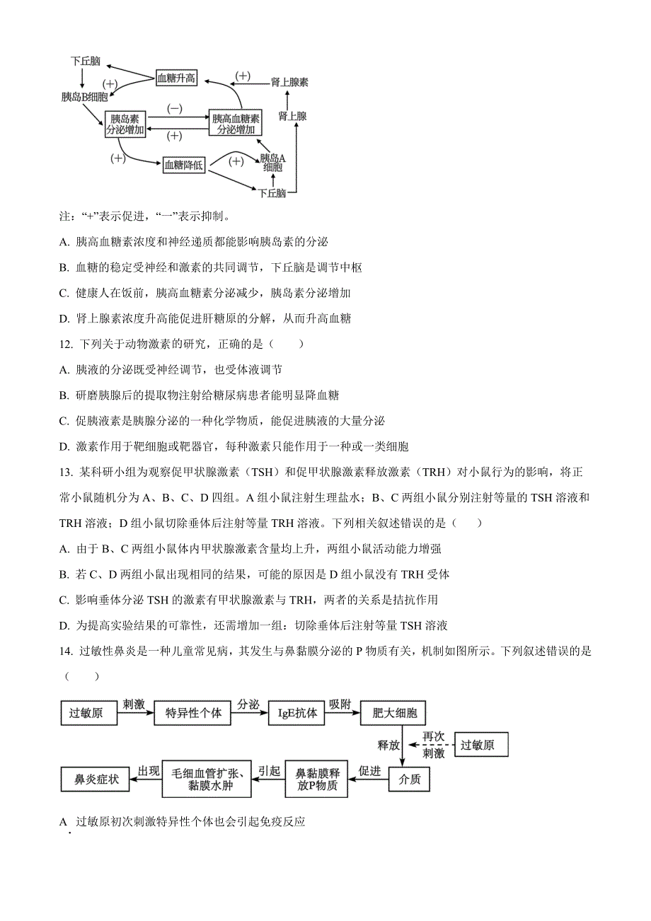 河南省郑州市十校联考2024-2025学年高二上学期11月期中生物Word版无答案_第4页